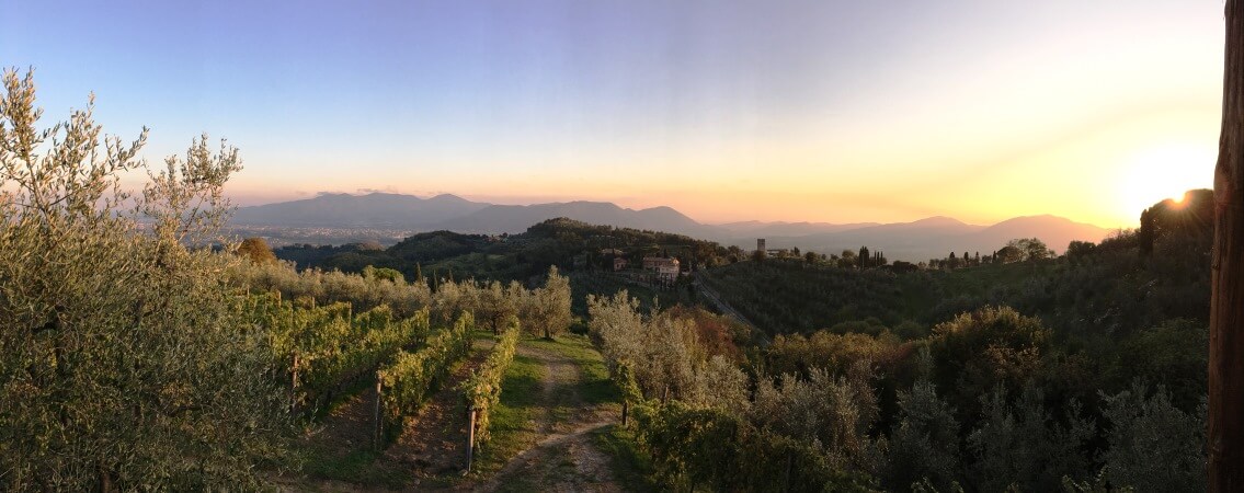 Italian Yoga Holiday AUGUST 2017 – Bella Betulia