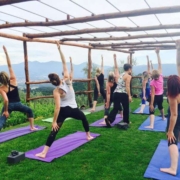 Yoga Holiday in Tuscany June 2017 with Savonn Wyland