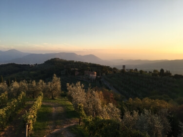 Yoga in Italy - Panorama sunset view overlooking vineyards and olive groves from our unique outdoor yoga platform