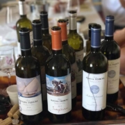 Wine Tasting Excursion. Yoga Retreat Italy