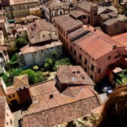 Yoga in Italy excursion - view of the terracotta rooftops from the top of Tirre Guinigi tower in Lucca