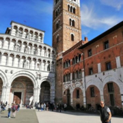 Excursion Lucca - Duomo
